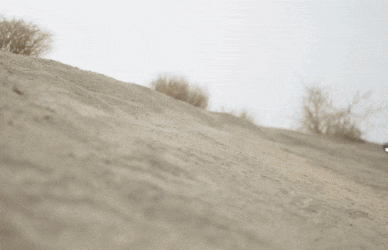 Carving the Onewheel GT in the desert